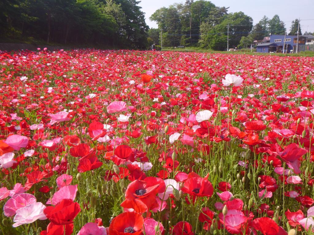 Yumoto Rakuzenso Numata (Gunma) Bagian luar foto